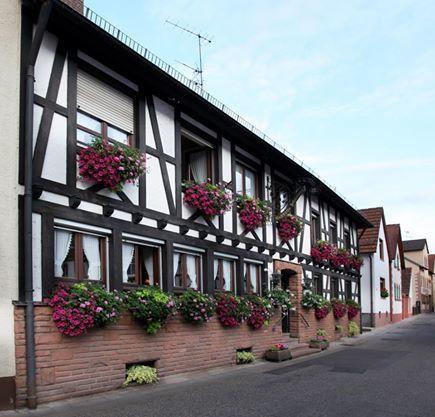 Hotel Dernbachtal ภายนอก รูปภาพ