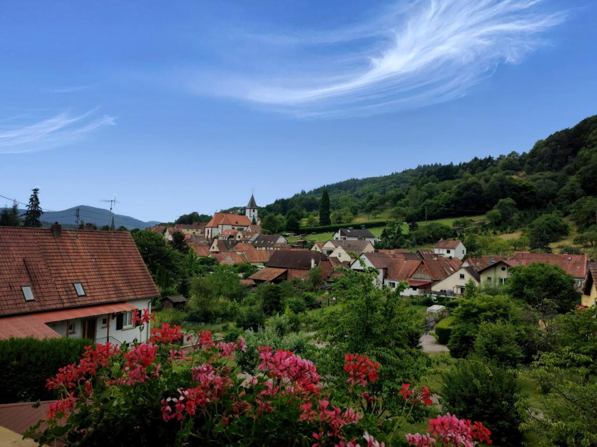 Hotel Dernbachtal ภายนอก รูปภาพ