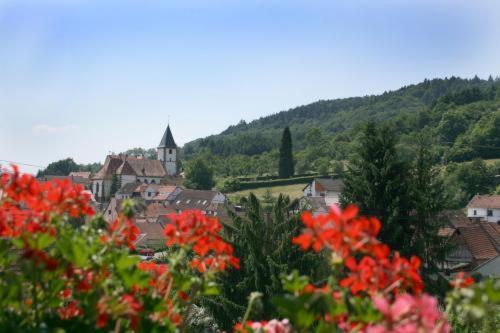 Hotel Dernbachtal ภายนอก รูปภาพ